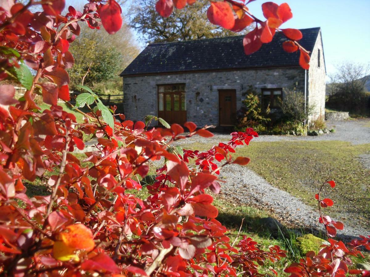 Cae'R Beili Villa Llandovery Eksteriør billede